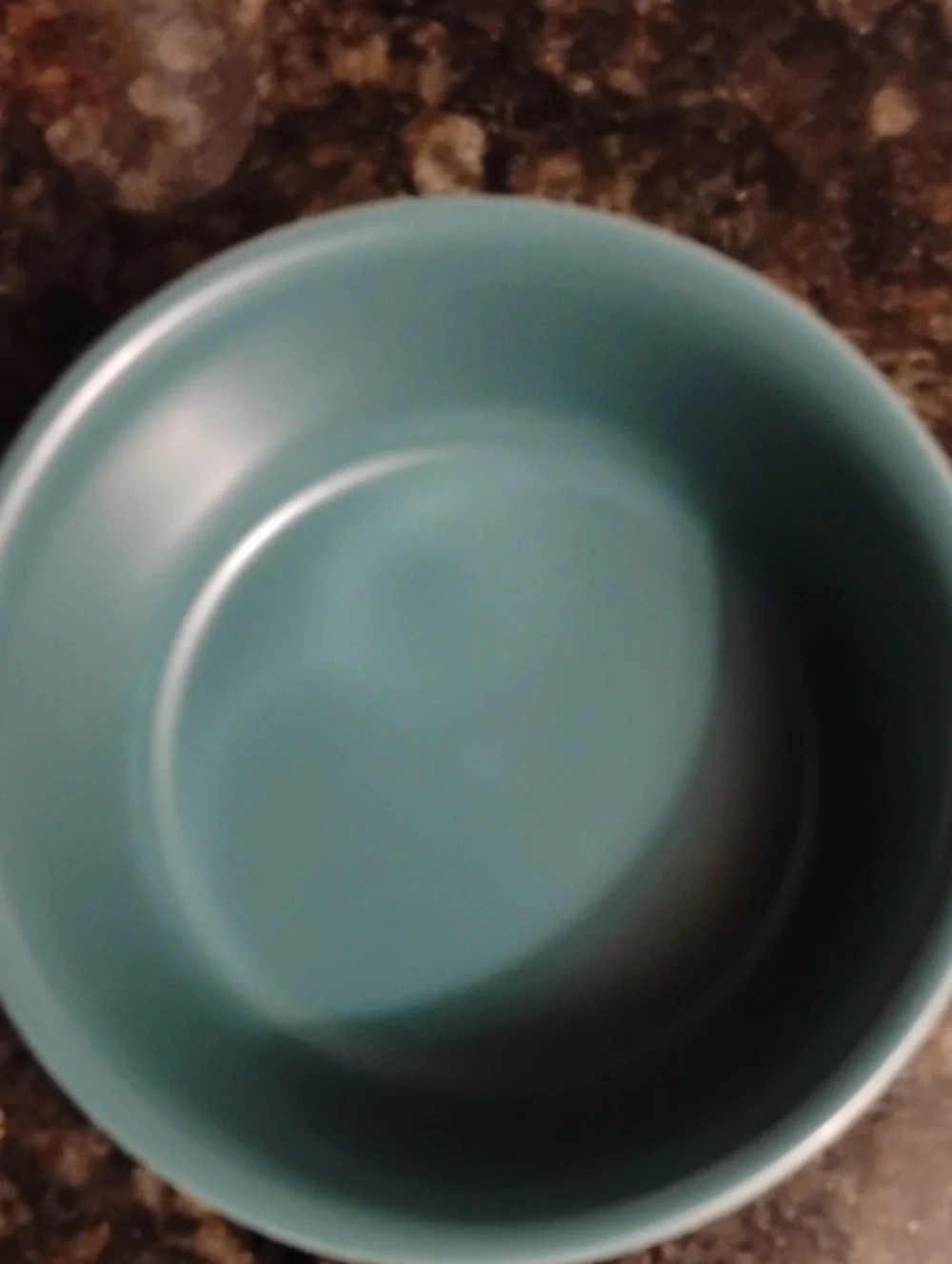 Dog Dish By Bone Dry